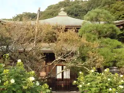 瑞泉寺の本殿・本堂