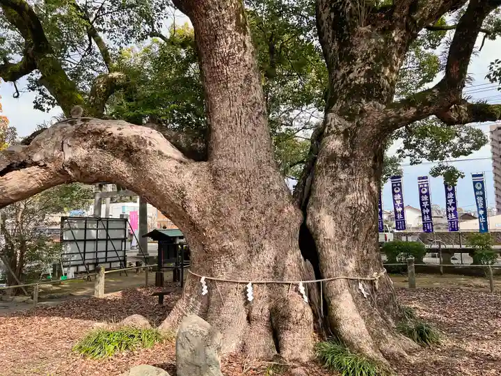 諫早神社(九州総守護 四面宮)(長崎県)