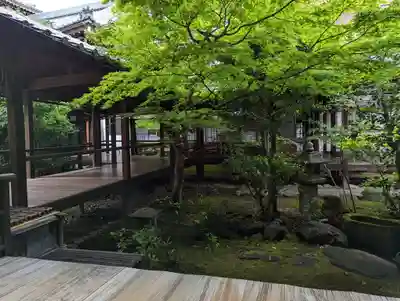 本法寺(京都府)
