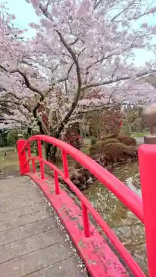 涌谷神社の自然