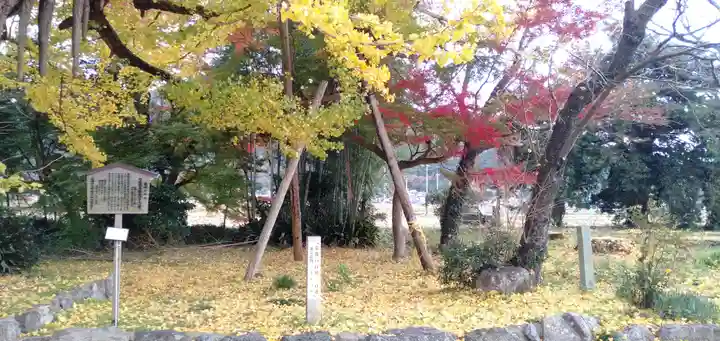 國分寺(国分寺)の自然