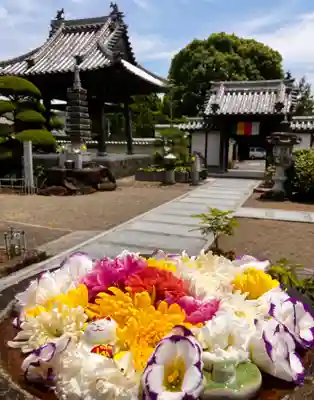 真言宗　善通寺派　薬王寺(香川県)
