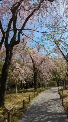 龍安寺(京都府)