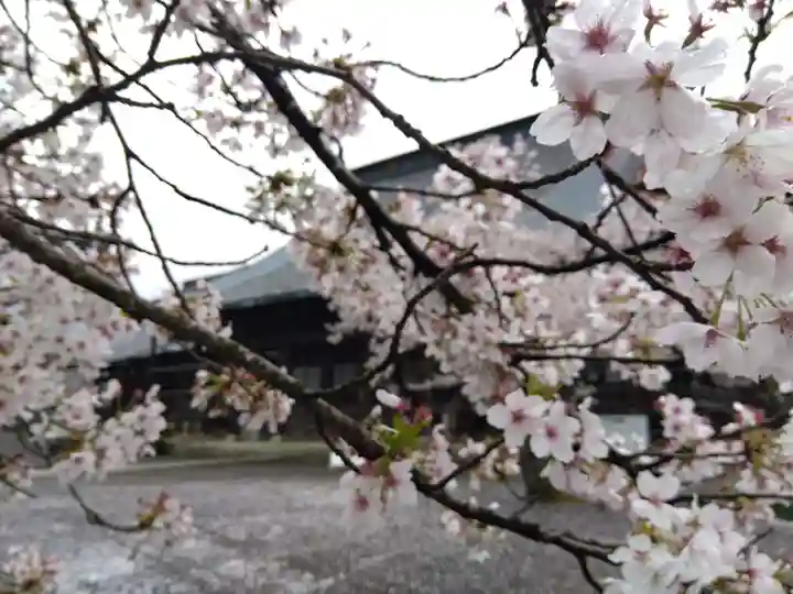 毫攝寺(福井県)