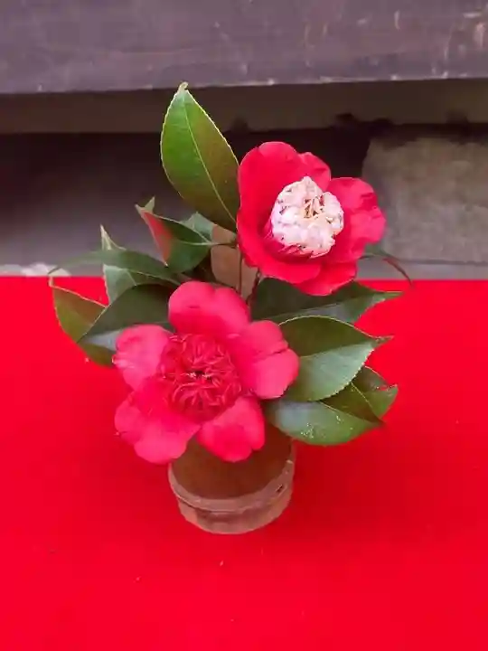 霊鑑寺門跡(京都府)