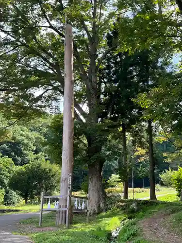 諏訪大社上社前宮の自然