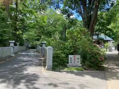 柴崎神社(千葉県)