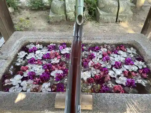 御坂神社(兵庫県)