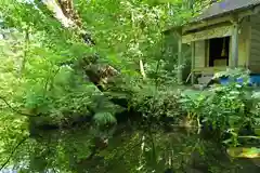 龍ヶ窪神社(新潟県)