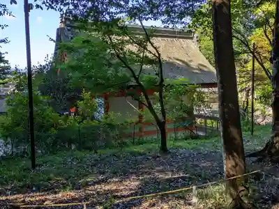出雲大神宮(京都府)