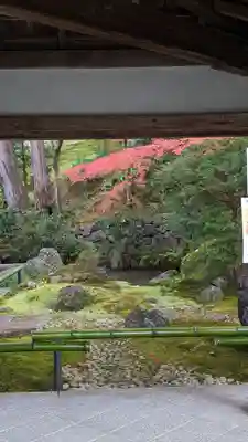 榮攝院（栄摂院）(京都府)