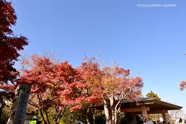 高尾山薬王院の自然