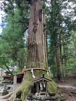 北口本宮冨士浅間神社のその他建物