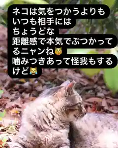 専念寺(大阪府)(2022年07月05日(火) 19時45分06秒投稿)