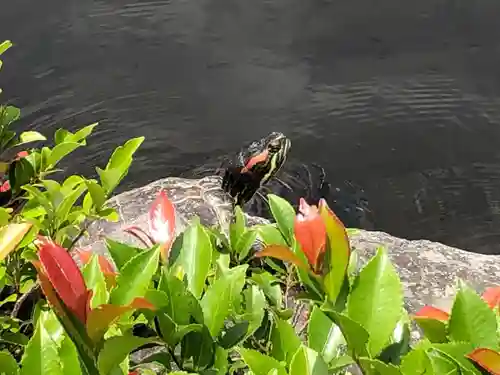 根津神社(東京都)