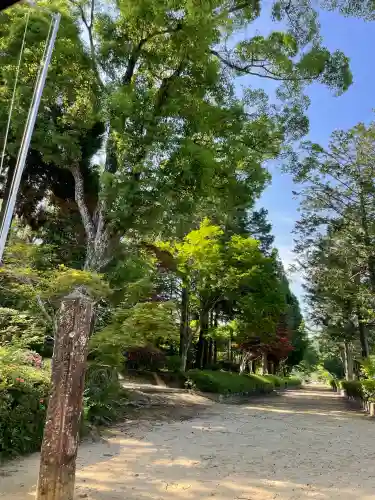 黒髪神社の{uncategorized: "未分類", other: "その他", undefined: "問題あり", building: "その他建物", grave: "お墓", sacred_gate: "鳥居", guardian: "狛犬", statue: "像", buddha: "仏像", history: "歴史", nature: "自然", garden: "庭園", animal: "動物", pagoda: "塔", temizu: "手水舎", mountain_gate: "山門・神門", sanctuary: "本殿・本堂", subordinate: "末社・摂社", art: "芸術", scenery: "景色", jizo: "地蔵", ema: "絵馬", goshuin: "御朱印", omikuji: "おみくじ", items: "授与品その他", amulet: "お守り", goshuincho: "御朱印帳", eats: "食事", festival: "お祭り", votive_dance: "神楽", shichigosan: "七五三参", wedding: "結婚式", experience: "体験その他", initially: "初詣", around: "周辺", anti_infection: "感染症対策"}