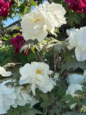 玄向寺(長野県)