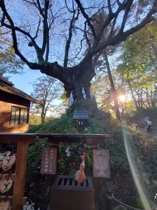熊野皇大神社の自然