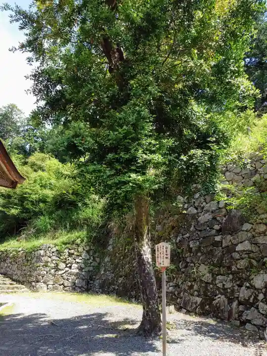 日吉大社(滋賀県)