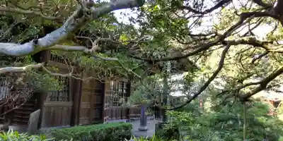 寿福寺(神奈川県)