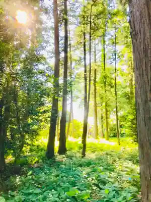 楯縫神社の自然