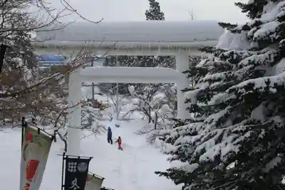 土津神社|こどもと出世の神さまの鳥居