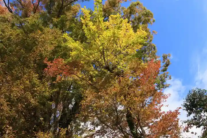 阿久津「田村神社」(郡山市阿久津町)旧社名:伊豆箱根三嶋三社の庭園