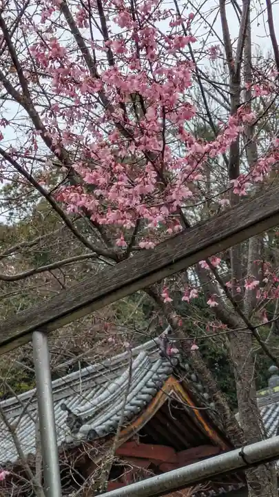 安岡寺(大阪府)