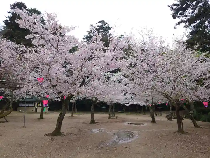 厳島神社(広島県)