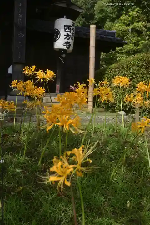 横浜 西方寺(神奈川県)