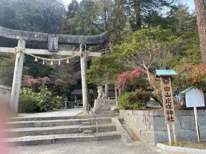 白山比咩神社の{uncategorized: "未分類", other: "その他", undefined: "問題あり", building: "その他建物", grave: "お墓", sacred_gate: "鳥居", guardian: "狛犬", statue: "像", buddha: "仏像", history: "歴史", nature: "自然", garden: "庭園", animal: "動物", pagoda: "塔", temizu: "手水舎", mountain_gate: "山門・神門", sanctuary: "本殿・本堂", subordinate: "末社・摂社", art: "芸術", scenery: "景色", jizo: "地蔵", ema: "絵馬", goshuin: "御朱印", omikuji: "おみくじ", items: "授与品その他", amulet: "お守り", goshuincho: "御朱印帳", eats: "食事", festival: "お祭り", votive_dance: "神楽", shichigosan: "七五三参", wedding: "結婚式", experience: "体験その他", initially: "初詣", around: "周辺", anti_infection: "感染症対策"}