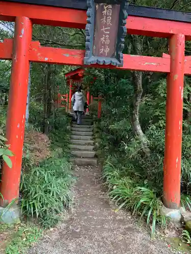 箱根神社の鳥居