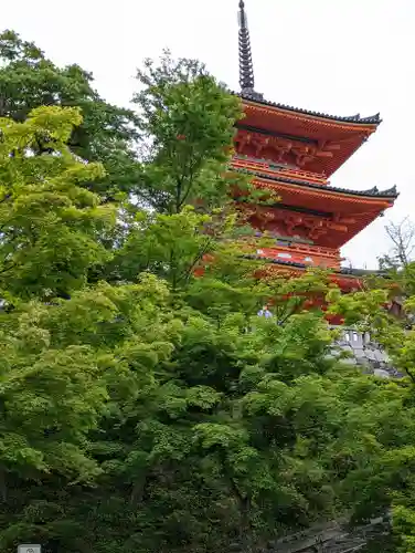清水寺(京都府)