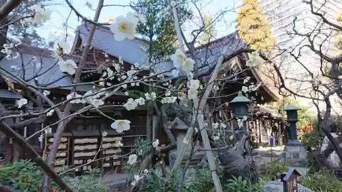 愛宕神社の本殿・本堂