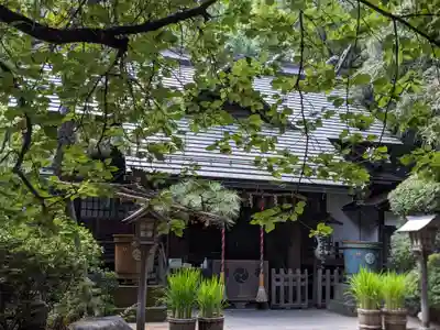 ときわ台天祖神社(東京都)