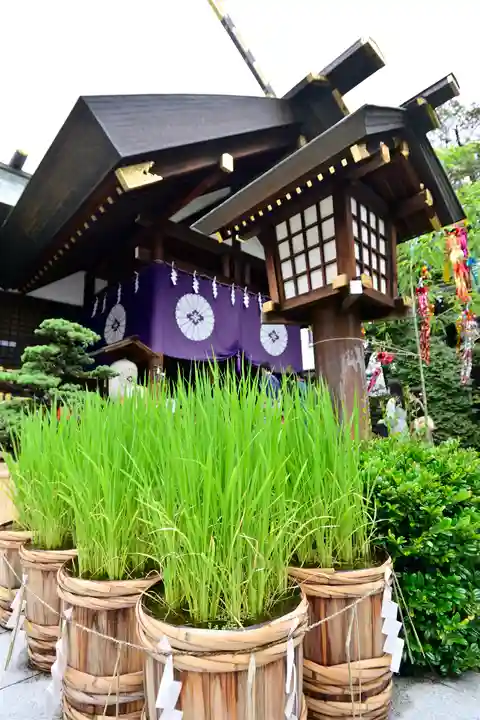 東京大神宮の庭園