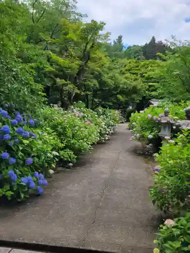 観音寺(京都府)
