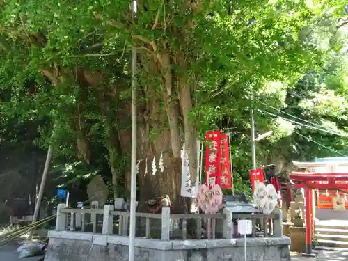 海南神社の自然