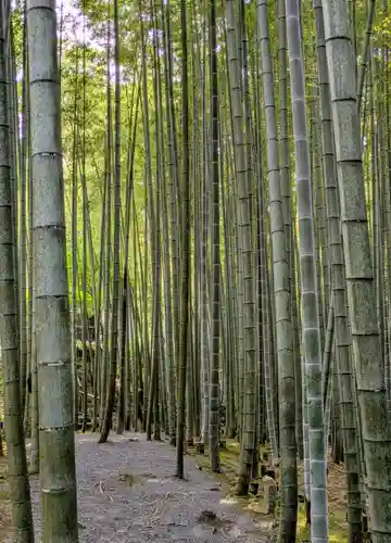 圓光寺(京都府)