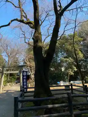 仙波東照宮(埼玉県)