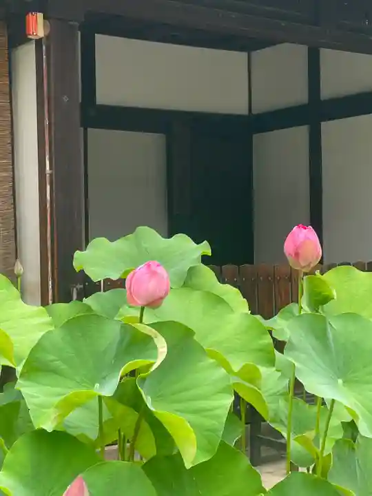 行願寺(革堂)(京都府)