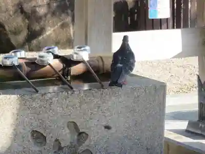 一心寺の手水舎