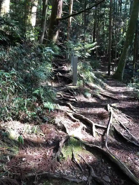 首塚大明神の自然