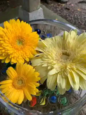 彌都加伎神社の手水舎