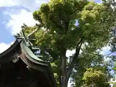 鳩ヶ谷氷川神社の建物その他
