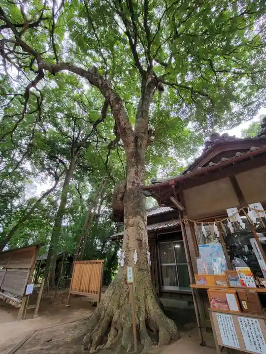 氷川女體神社の自然