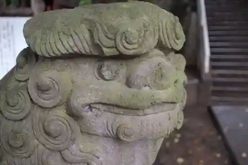 岩槻愛宕神社の狛犬