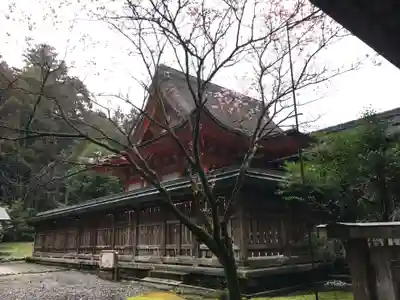 土佐神社の本殿・本堂