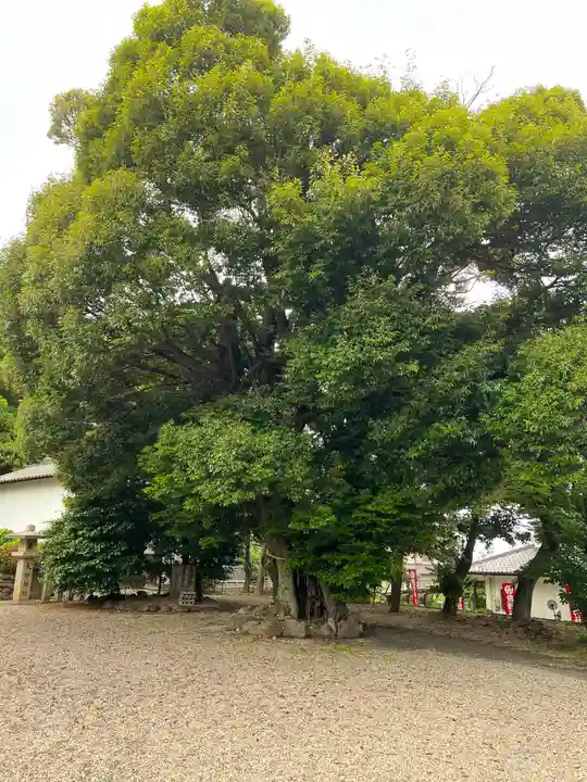 東海市熊野神社(愛知県)