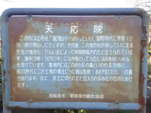 天応院(神奈川県)